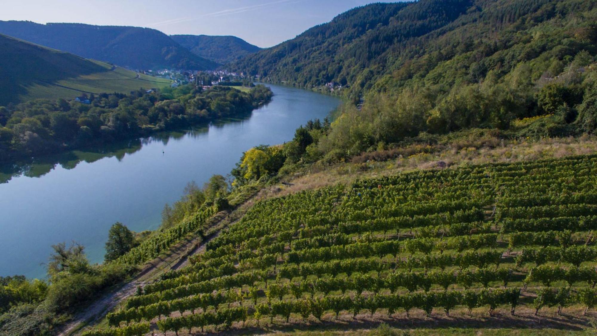 Ferienhaus Moselhoehe -Neu- Traben-Trarbach Exteriér fotografie