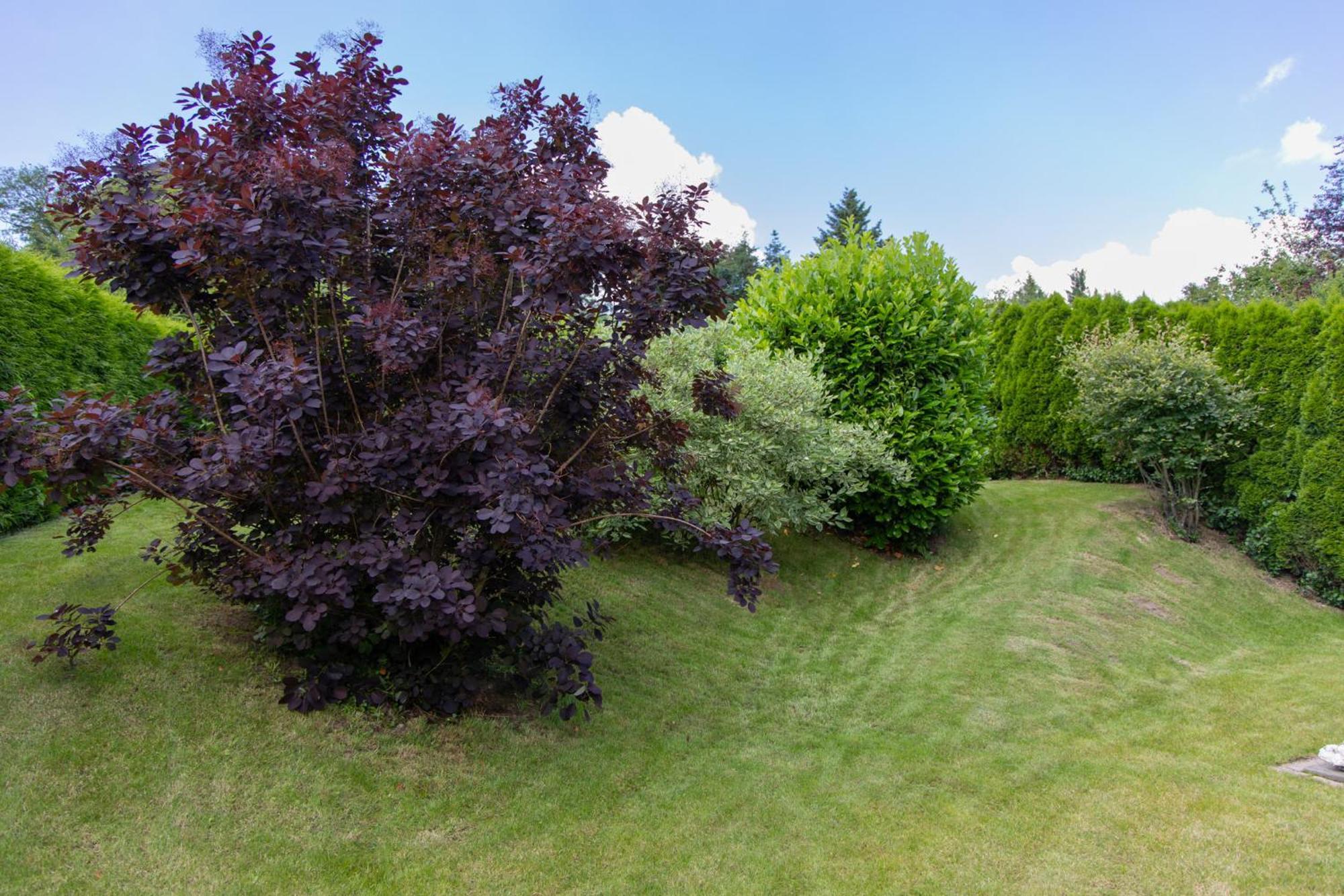 Ferienhaus Moselhoehe -Neu- Traben-Trarbach Exteriér fotografie